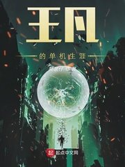 《王凡的单机生涯》
