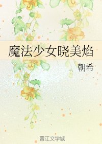 《(BG/综漫同人)魔法少女晓美焰》
