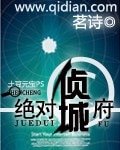 《绝对侦城府》