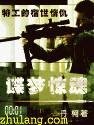 《谍梦惊魂》