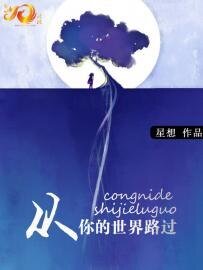 《从你的世界路过》