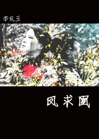 《(火凤凰同人)凤求凰》