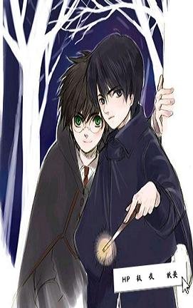 《(BL/HP同人)HP极夜》