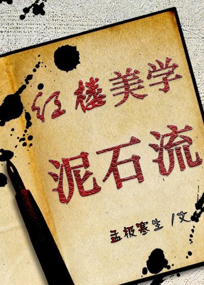 《(紅樓同人)紅樓美學泥石流》