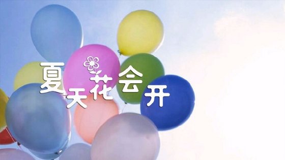 夏天花会开