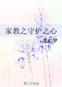 《(BL/家教同人)家教之守护之心》