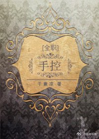 《(BL/全职同人)手控》