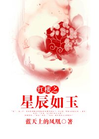 《(红楼同人)红楼之星辰如玉》