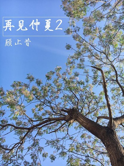《再见仲夏2》