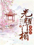 穿越之光耀门楣