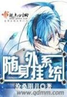 隨身外掛系統