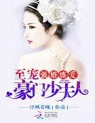 第一宠婚,哈妻贵贵唉