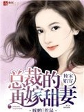 獨家婚寵，總裁的再嫁甜妻