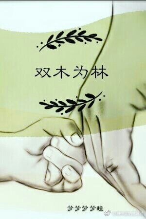 《雙木為林》