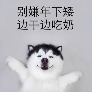 《【西幻】光明之城 》
