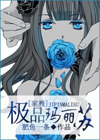 （家教同人）[家教]極品瑪麗蘇