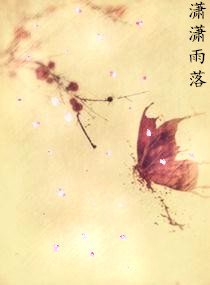 《潇潇雨落》