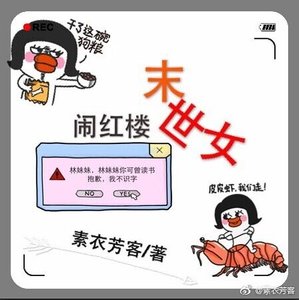 《(红楼同人)末世女闹红楼》