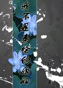 《我不是秦桧的媳妇!》