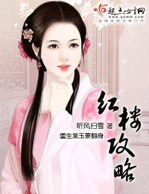 《(红楼梦同人)红楼攻略》