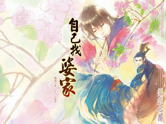 《自己找婆家(出書版)》