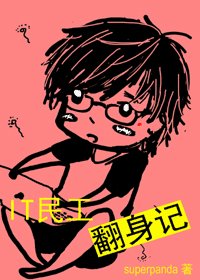 《IT民工翻身记》
