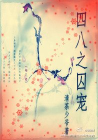 《(数字同人)四八之囚宠》