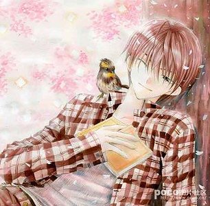 （網王同人）我不是來搗亂的！