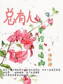 总有人要挖我墙脚