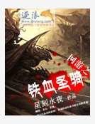 網遊之鐵血聖騎