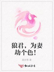《狼君,为妻劫个色!》