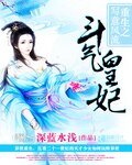 《斗气皇妃:重生之写意风流》