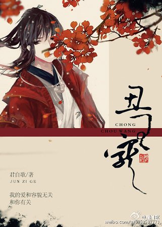 《丑王宠》