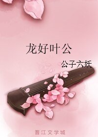 《龙好叶公》