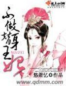 不做替庸王妃