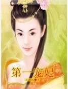 《第一宠妃》
