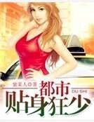 都市貼身狂少