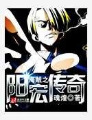 《海贼之阳宏传奇》