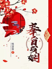 《奉旨成姻》