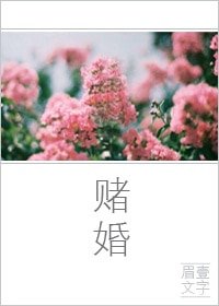 《赌婚/鲜肉计划》