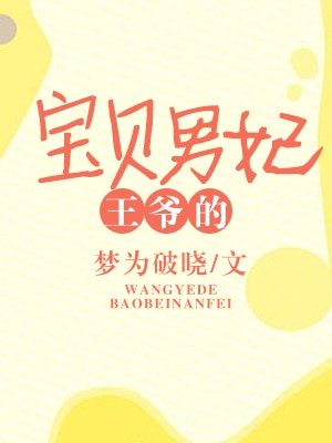 《王爺的寶貝男妃》