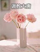 《調教大唐》