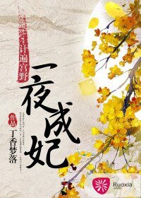 計遍宮野:一夜成妃
