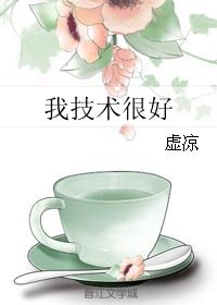 《我技术很好》