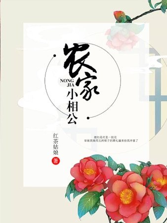《农家小相公》