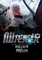 《仙龙系统》