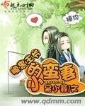 税黑王爺的小蠻妻/痴傻公主纯形記