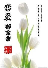 《恋爱郁金香》