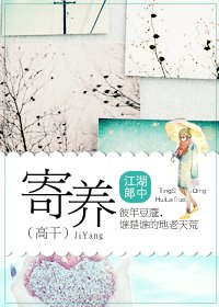 《寄養》