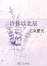 许你以北辰